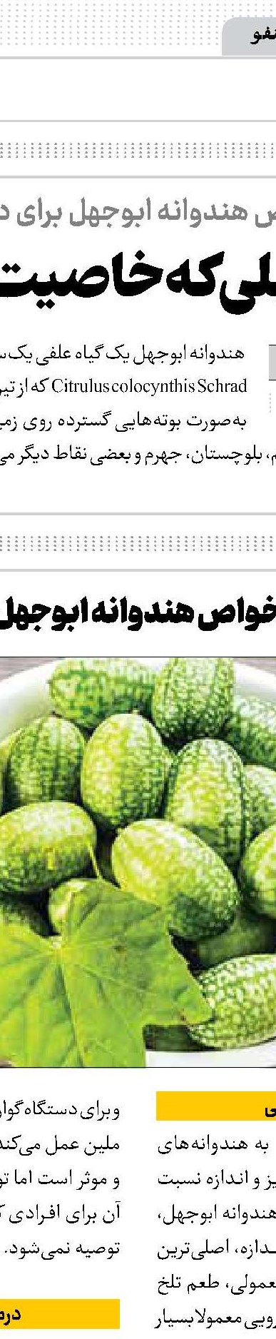 بفرمایید خربزه