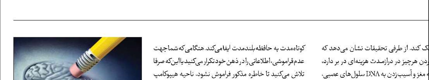 ذخیره‌کردن خاطرات توسط مغز