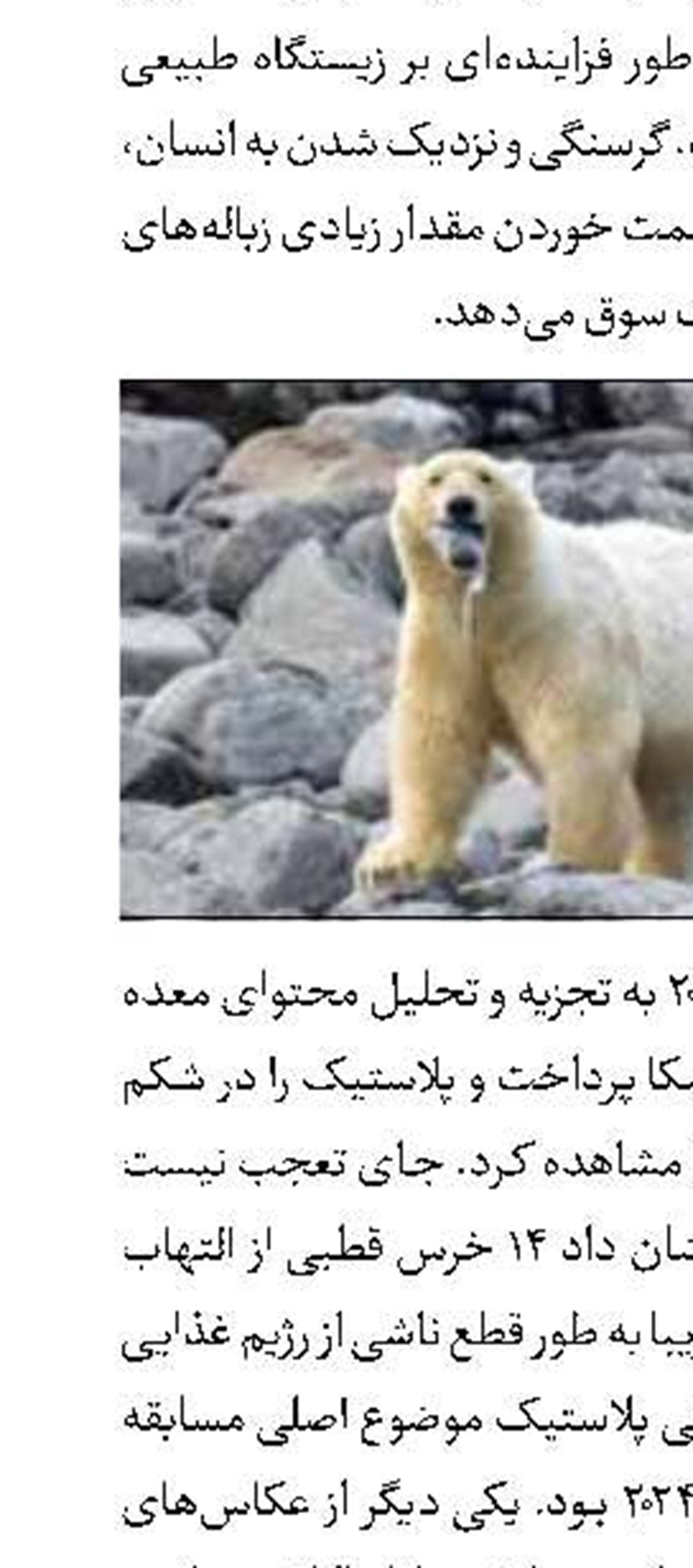 سهم 19درصدی زنان درمدیریت شرکت‌های دانش بنیان