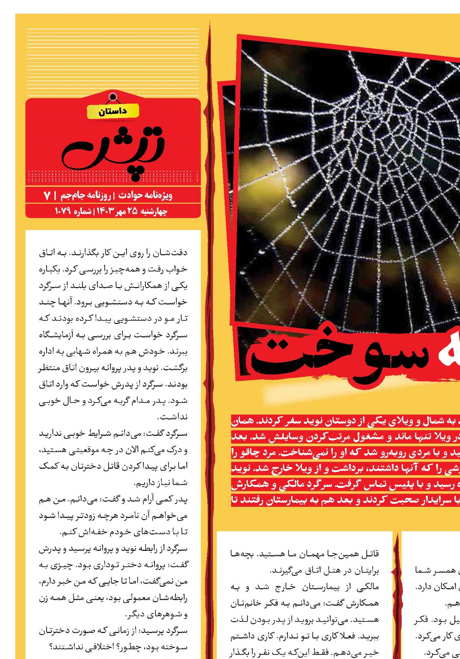 پروانه‌ای که سوخت