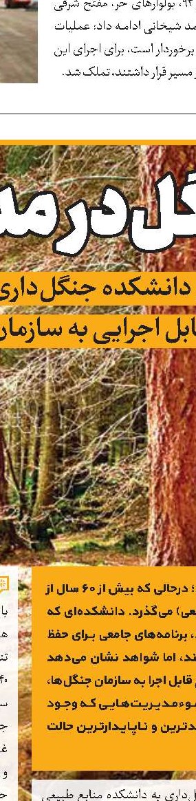 مرگ جنگل‌ها زیر سایه سوء‌مدیریت‌ها