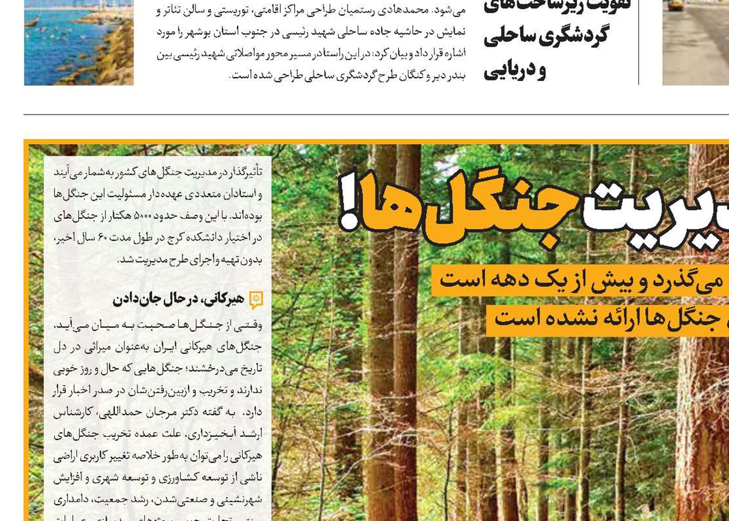 قانون جنگل‌ در مدیریت جنگل‌ها!