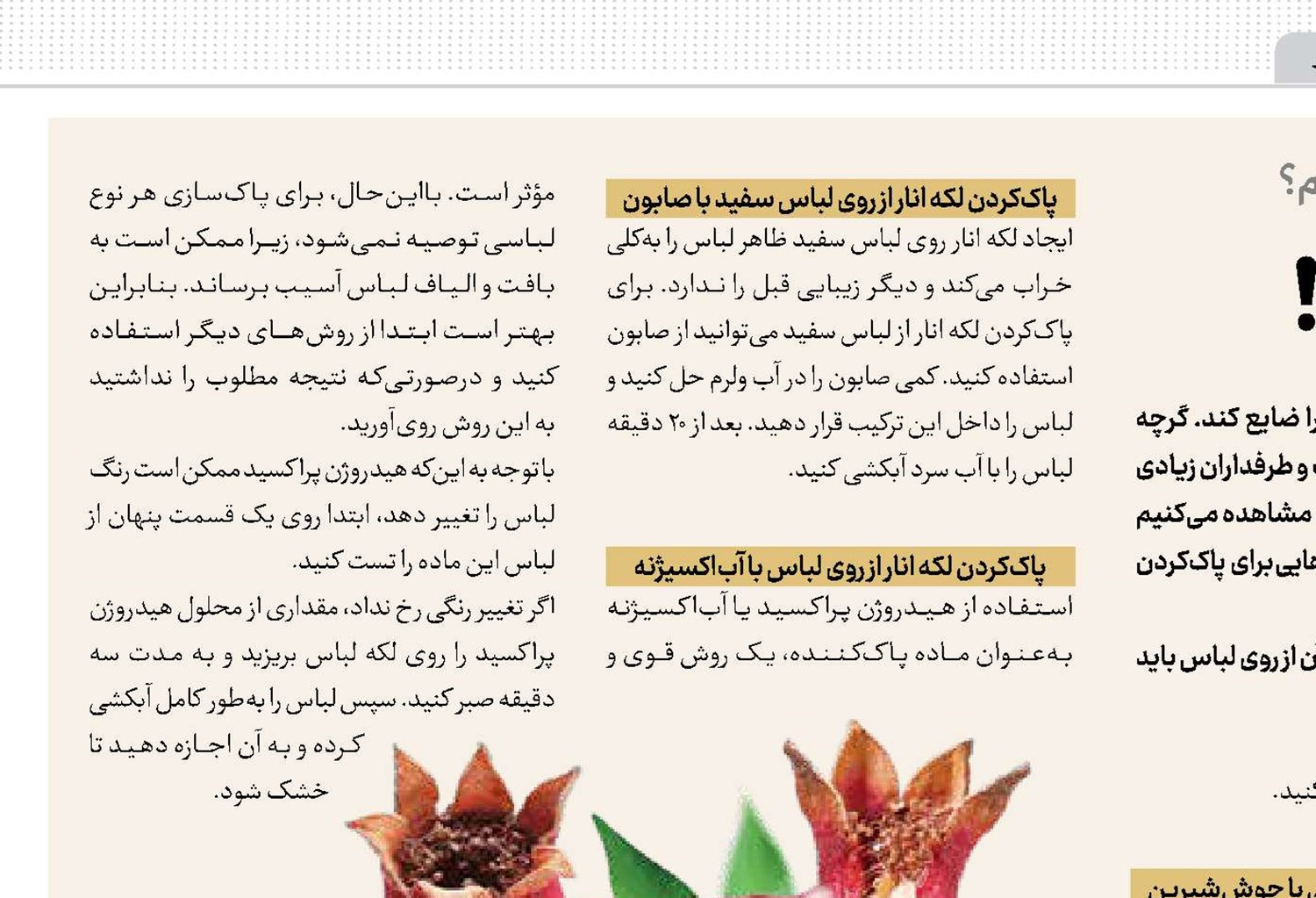 نبرد با لکه سرسخت انار!