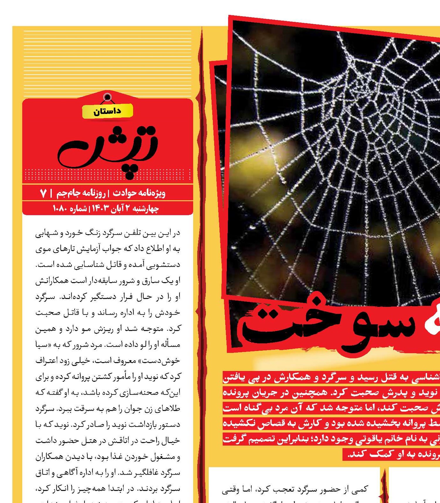 پروانه‌ای که سوخت