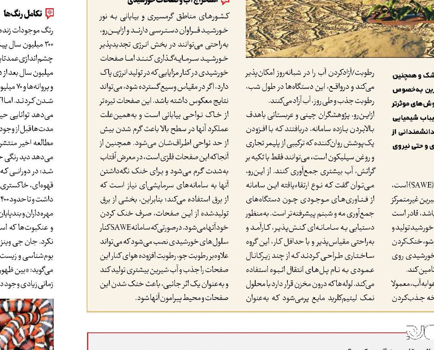 فرمانده‌ بی‌دفاع‌ است؛ مراقب باشید