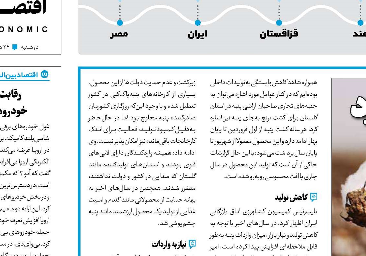 خشکسالی، پنبه تولید را زد