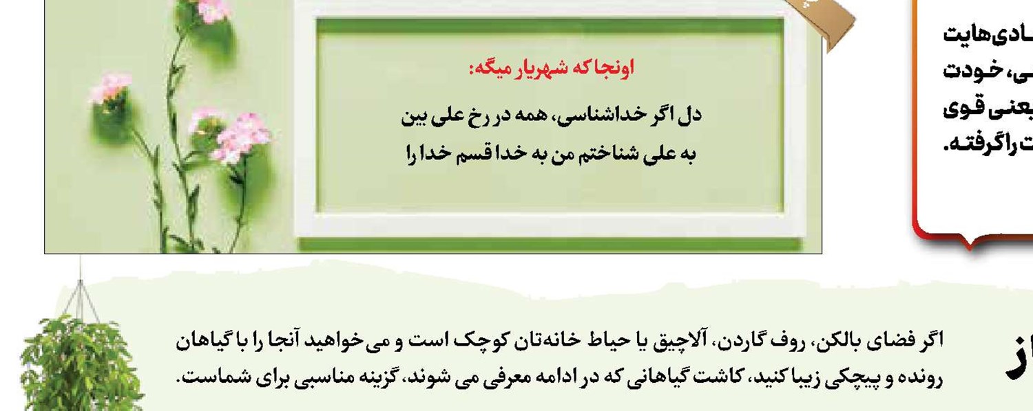 گیاهانی برای زیباتر شدن فضای باز