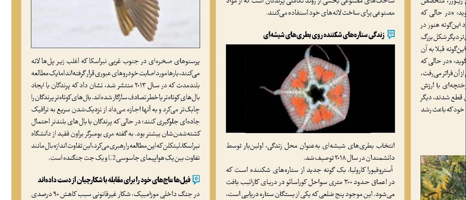فراموشی خاطره‌های بد در خواب