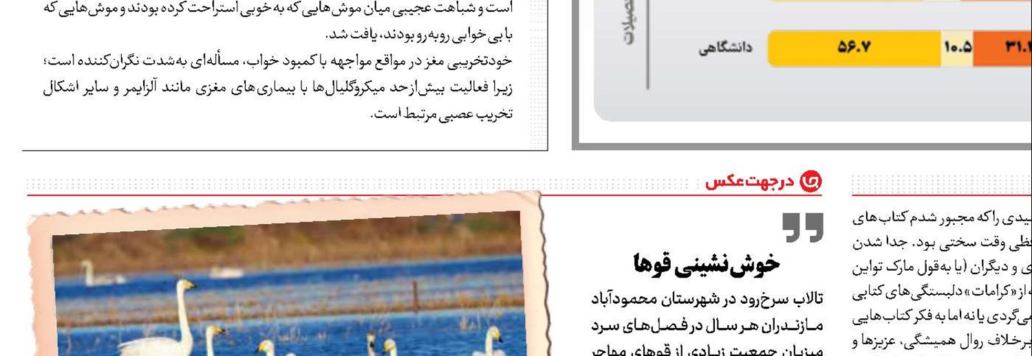 انقلاب هوش مصنوعی در راه است