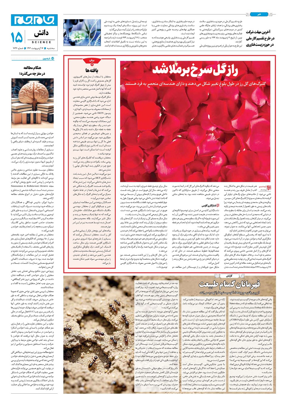روزنامه تاریخ ۱۷ اردیبهشت ۱۴۰۴