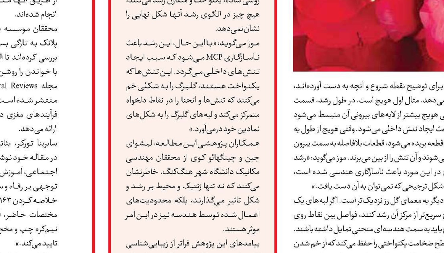قهرمانان گمنام طبیعت