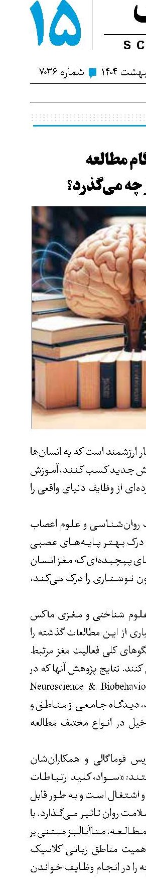 هنگام مطالعه در مغز چه می‌گذرد؟
