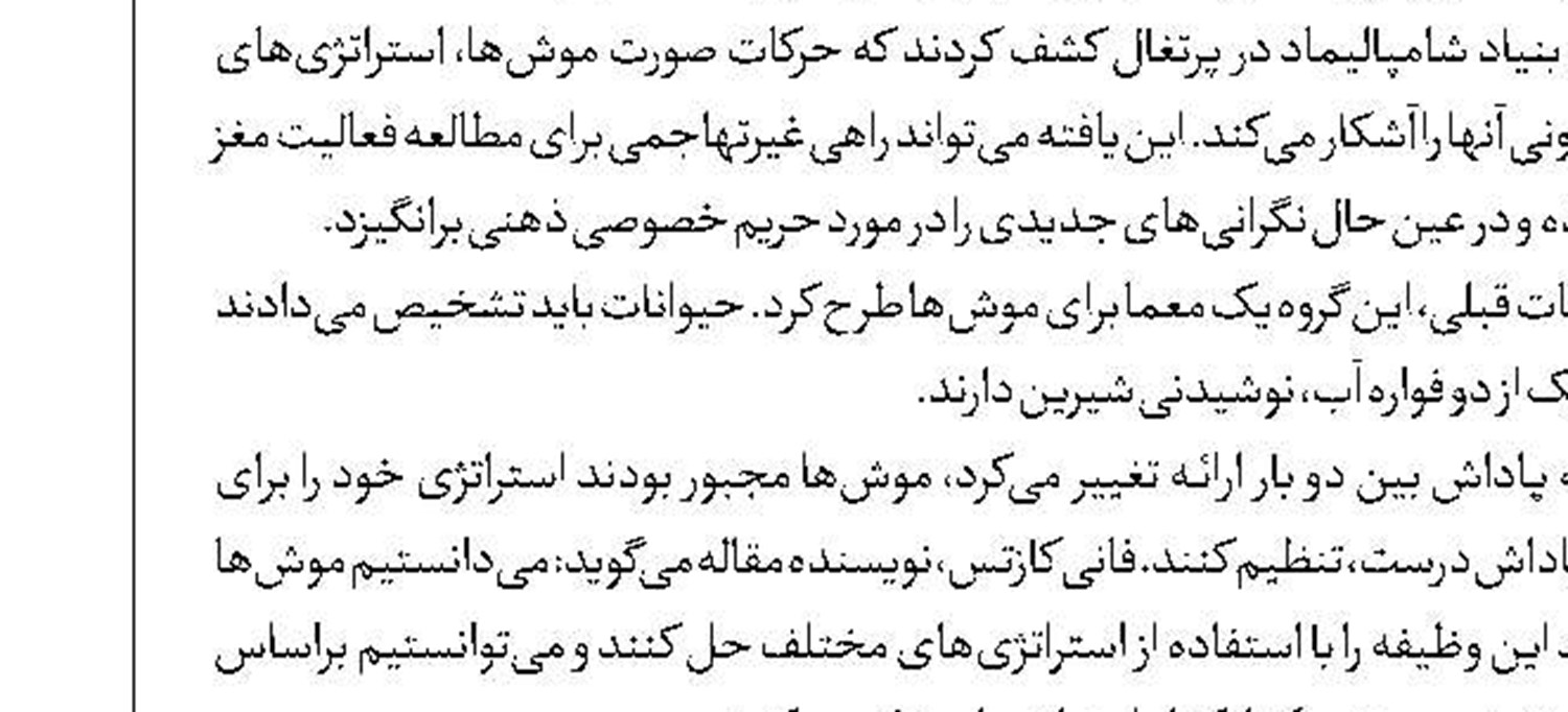 سایه‌سار یک شکوه 