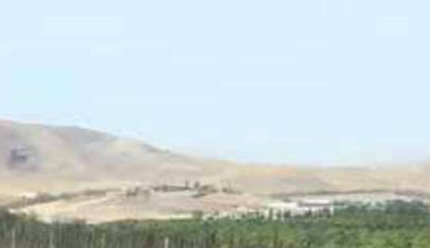 دلالی ارز از فردوسی تا فرودگاه