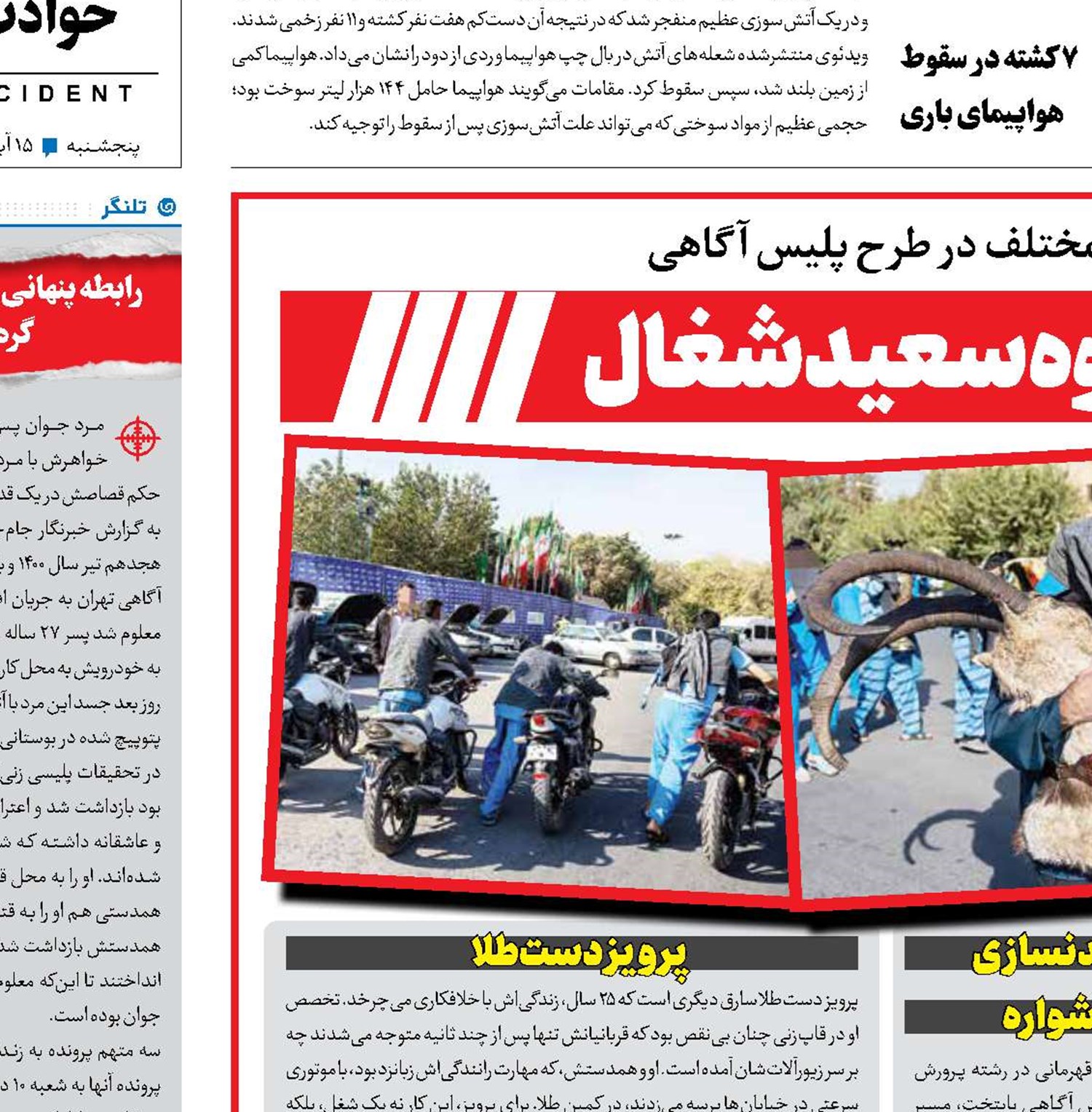 انتقام گیری به شیوه سعید شغال