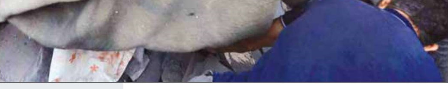 صبح جمعه با چند نسل