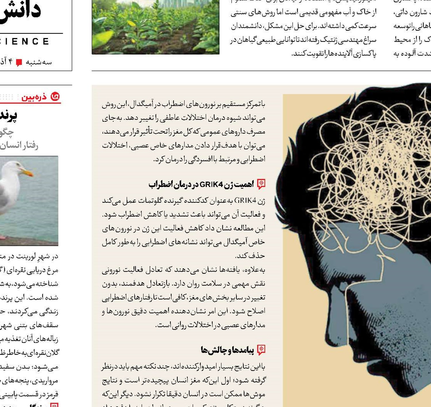 پایانی بر اضطراب