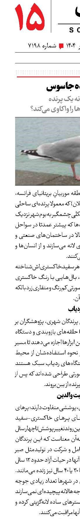 پرنده جاسوس