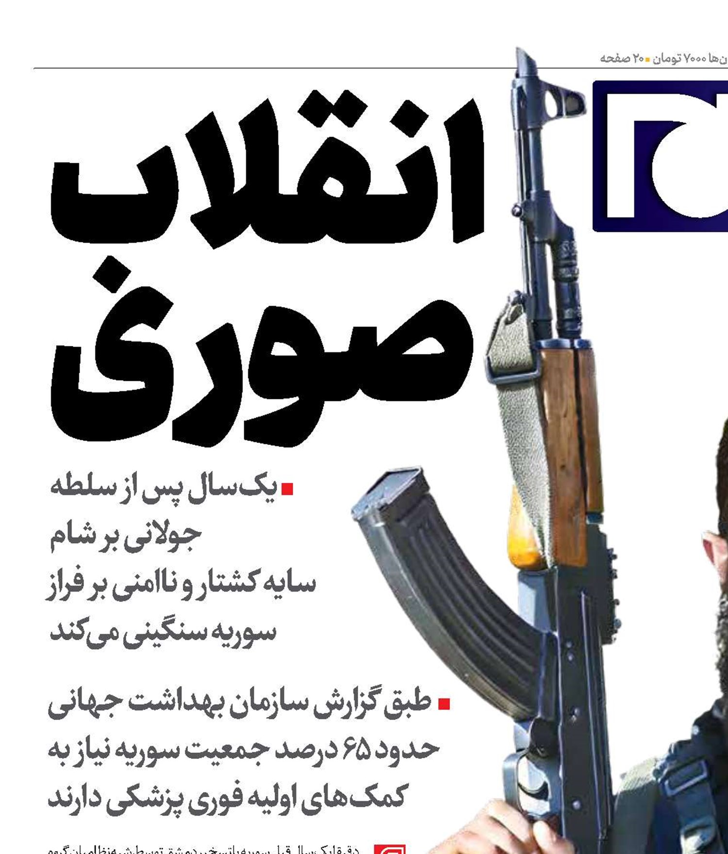 انقلاب صوری