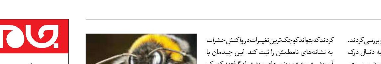 خوشبینی میان زنبورها مسری است