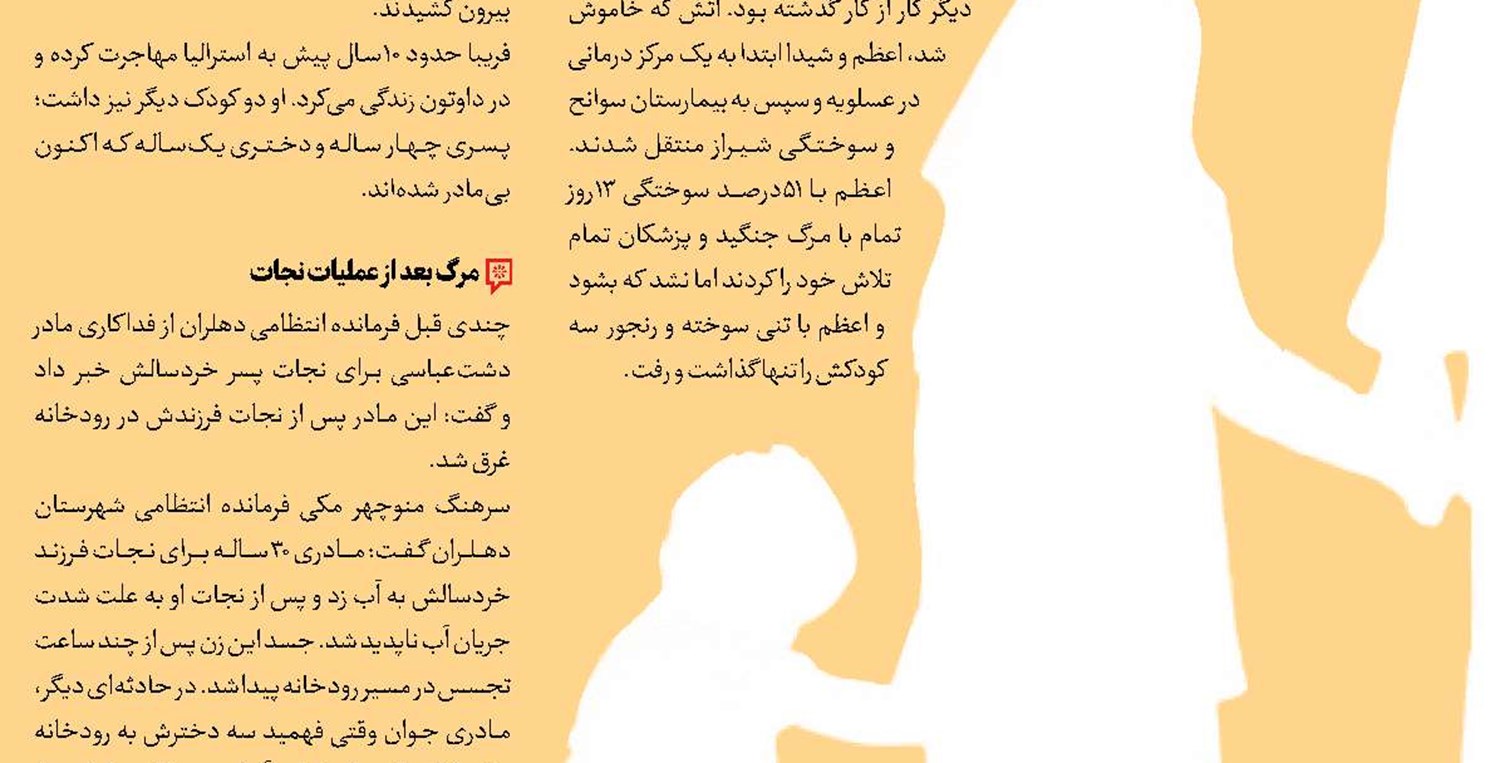 همسرم گربه اش را بیشتر از من دوست دارد!
