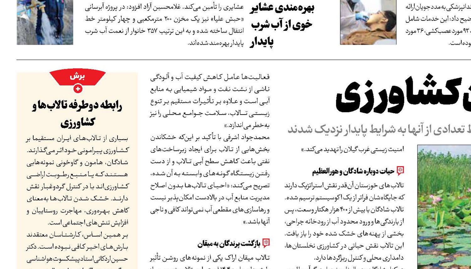 تالاب ها پشتوانه پنهان کشاورزی 