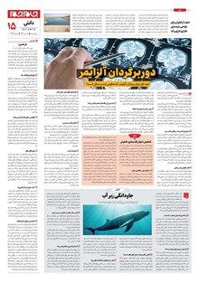 page