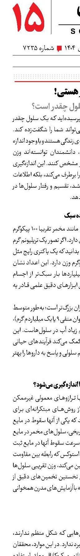 بار هستی!