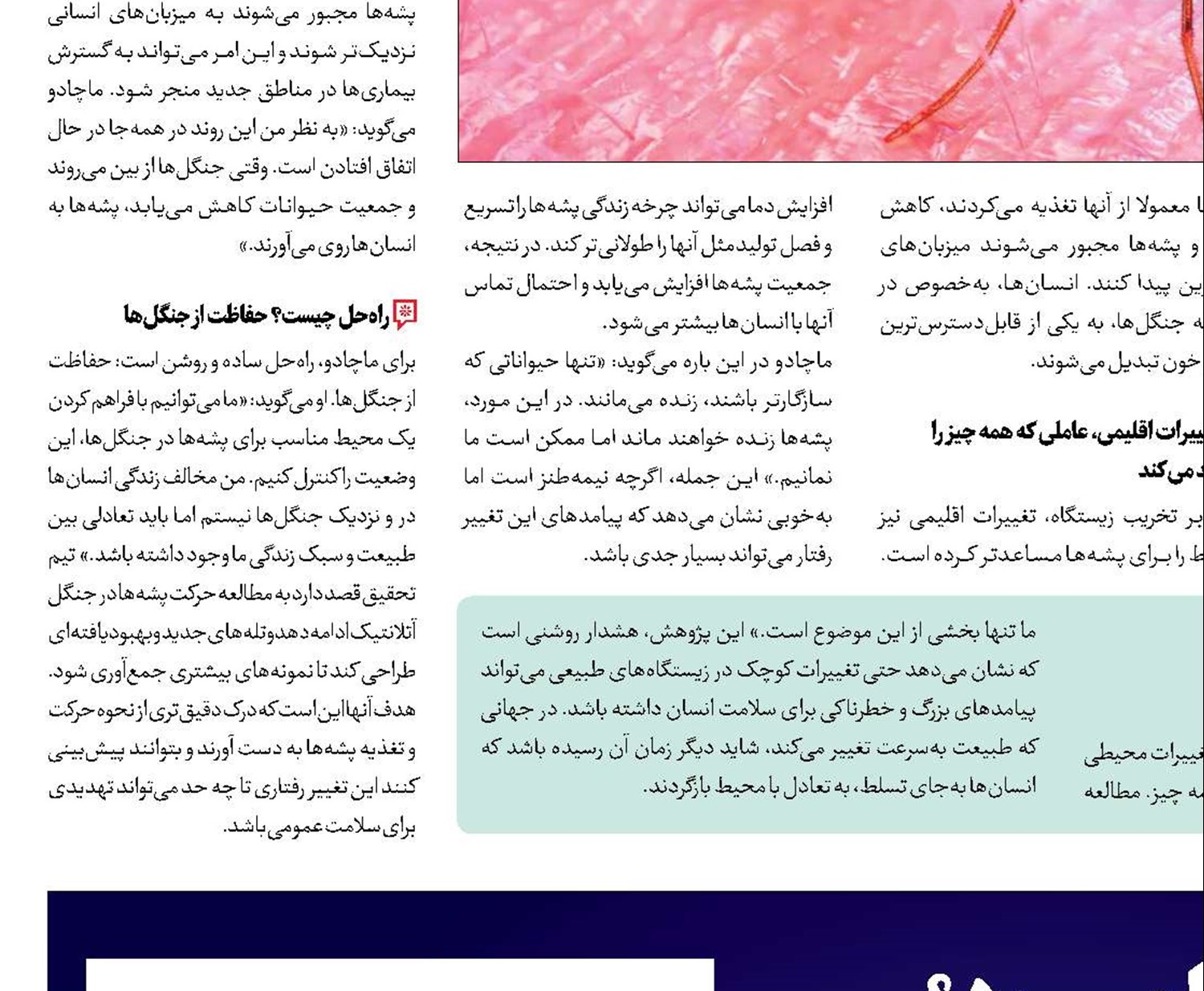 هوش مصنوعی به فضا می‌رود؟