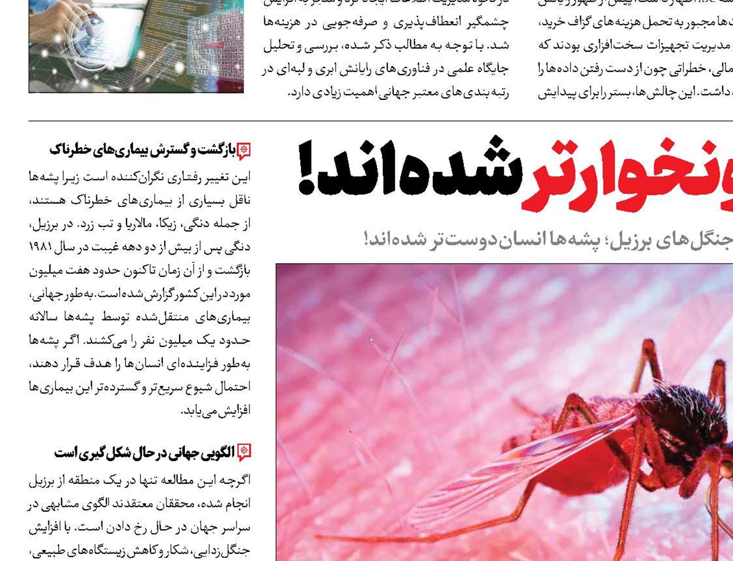 پشه‌ها خونخوارتر شده‌اند! 