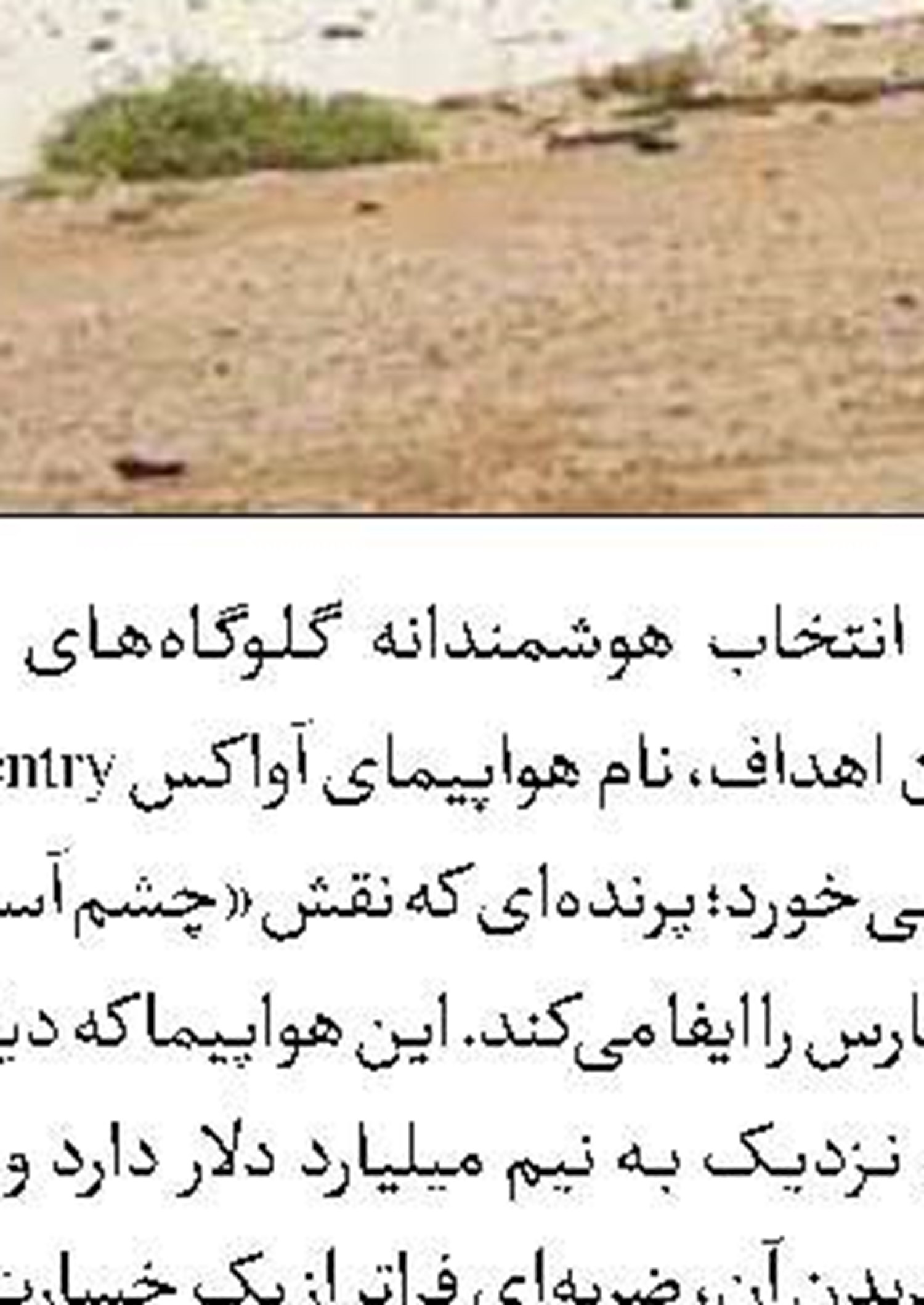 معلم، معمار بنیان‌های تمدن است