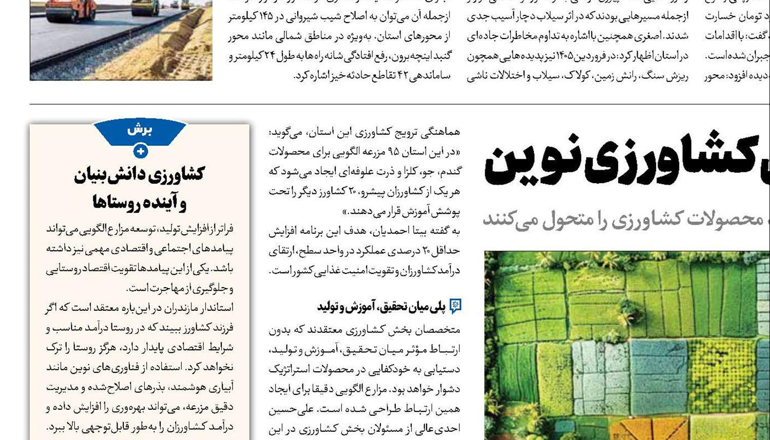 مزارع الگویی، نبض کشاورزی نوین