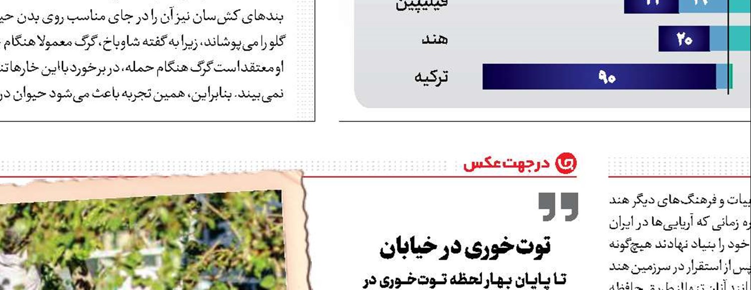 مراقبه با جارو