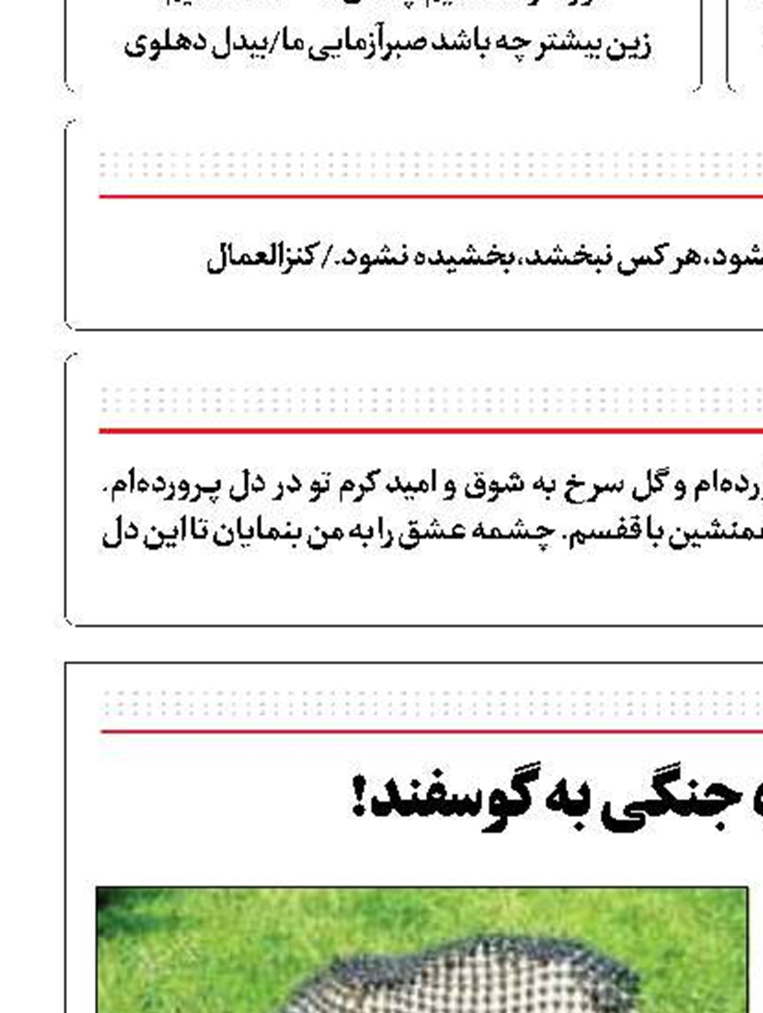  پوشاندن زره جنگی به گوسفند!