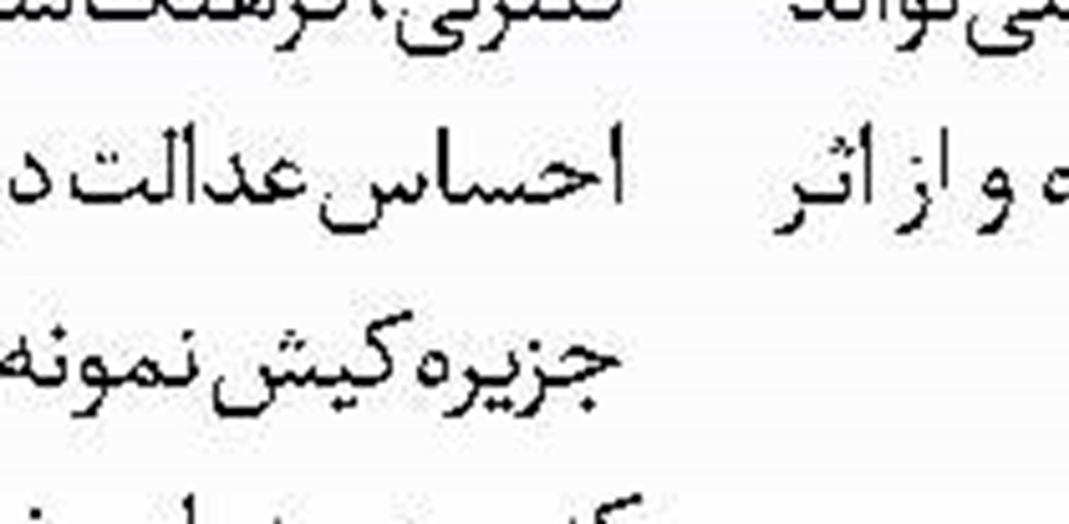 حمله زنبورها به هواپیما