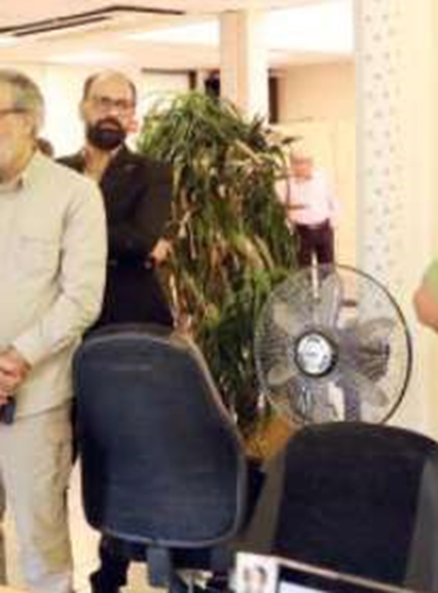 شیرجه در تابستان 