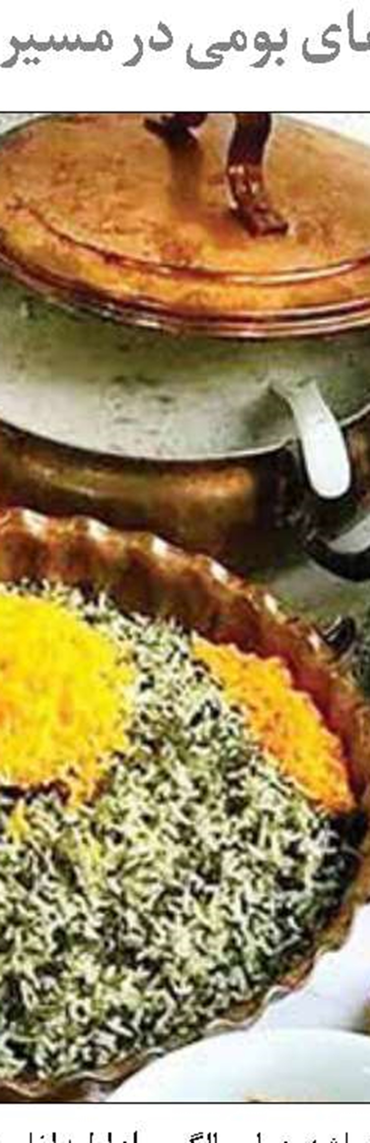 حال خوب پرنده‌های بوشهر 