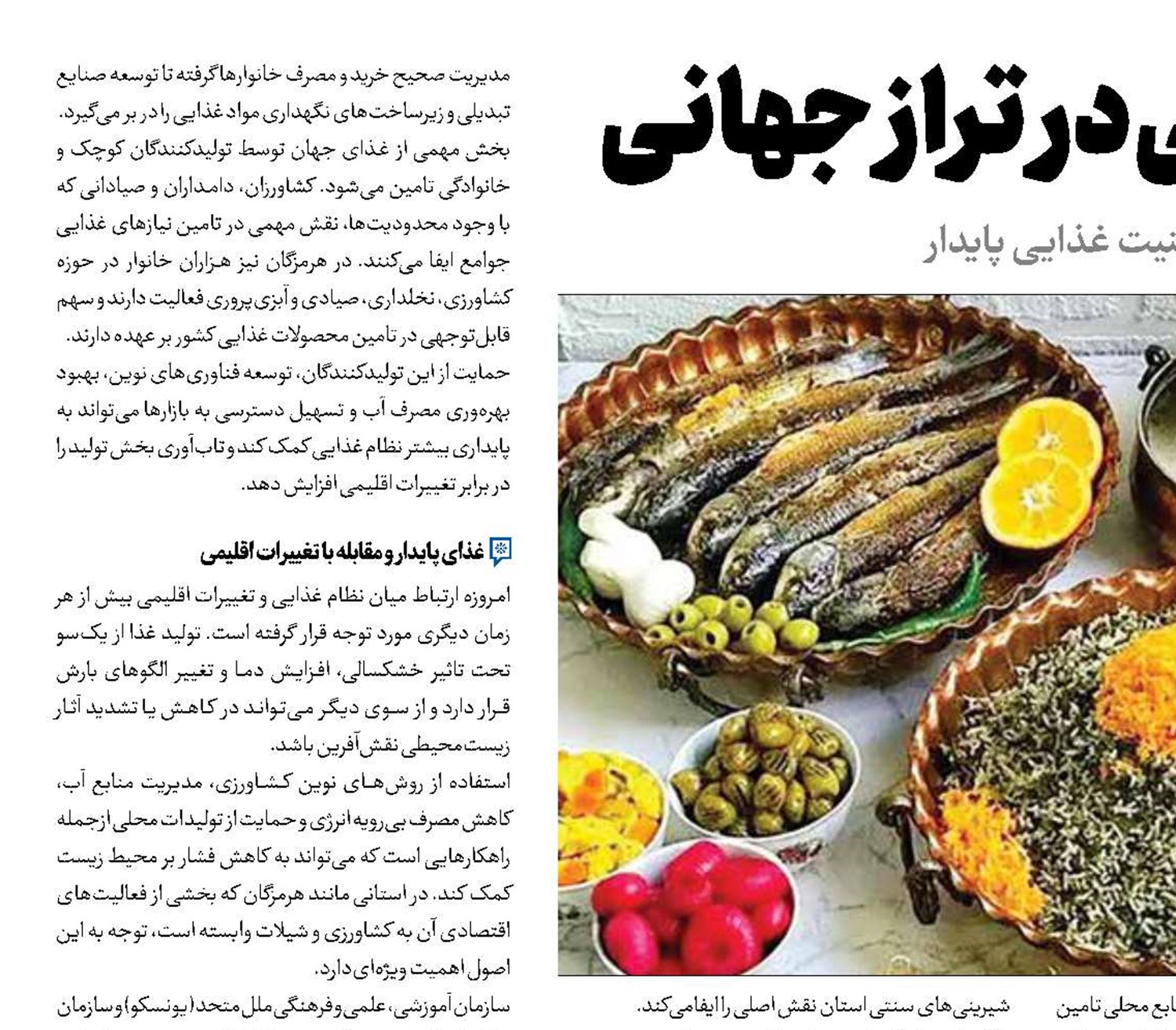 هرمزگان غذای بومی در تراز جهانی