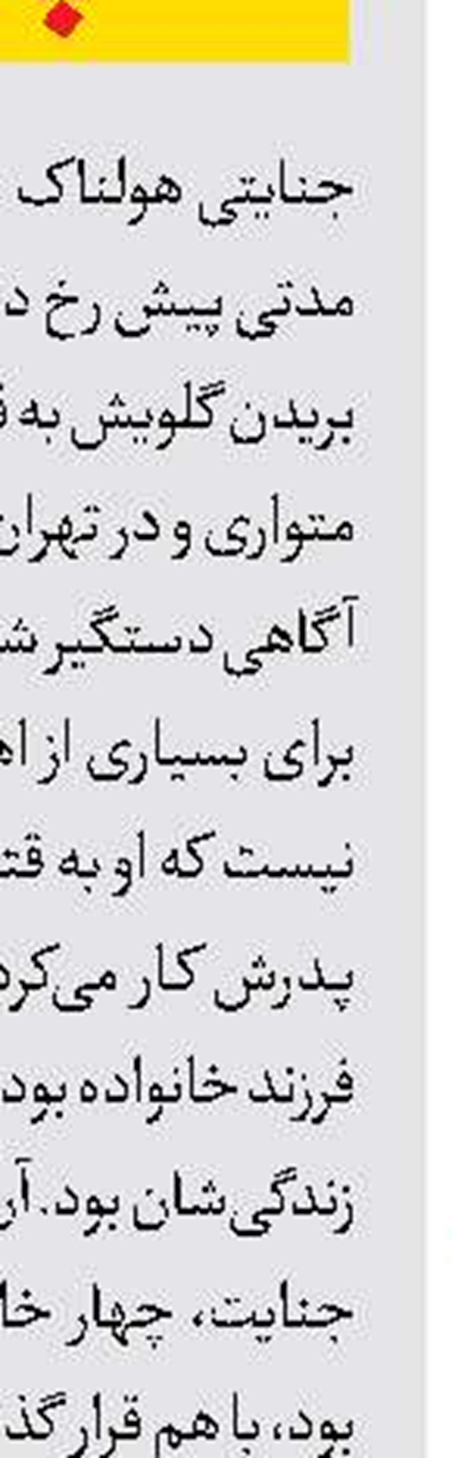 سقوط مرگبار سارق هنگام فرار 