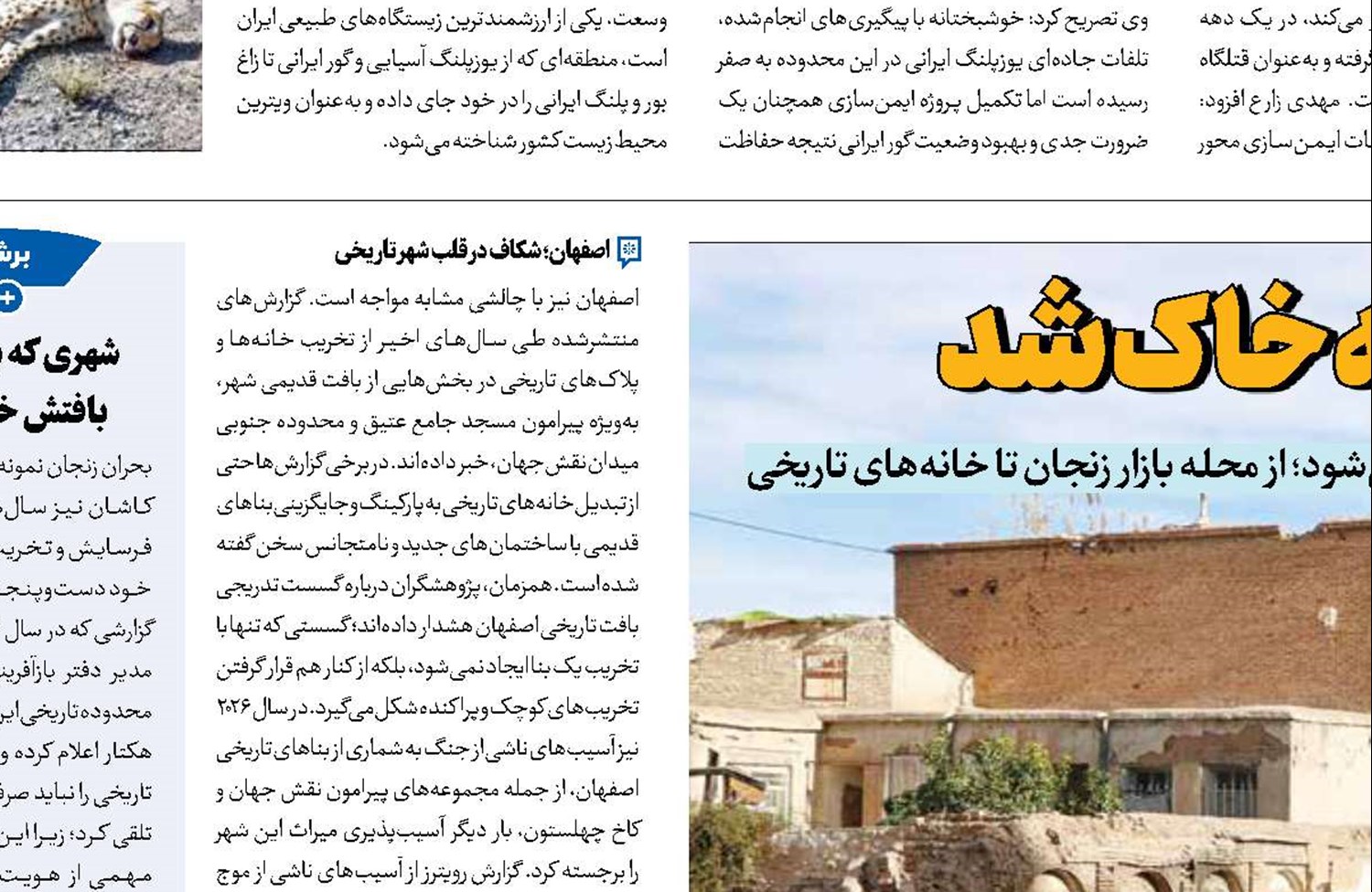 میراثی که خاک شد