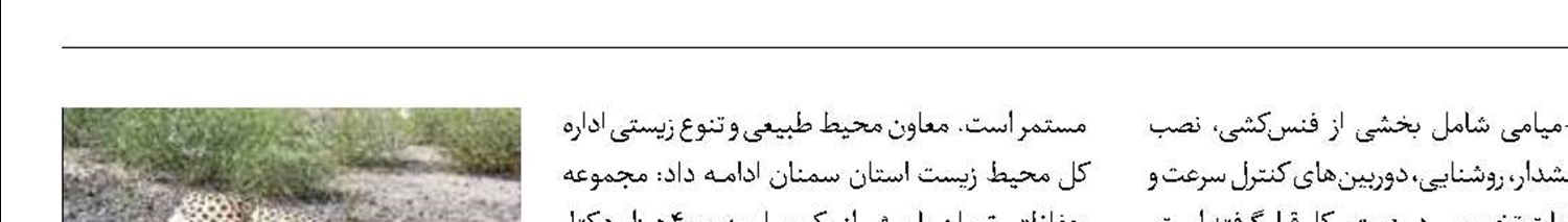 تلف‌شدن ۱۳ یوزپلنگ ایرانی در یک‌دهه اخیر در جاده‌ها