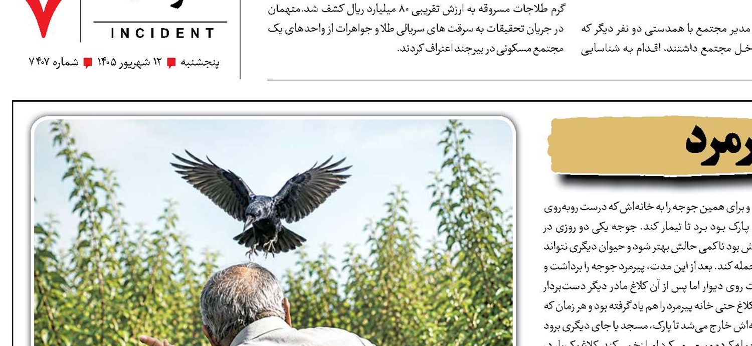 پشت پرده داستان کلاغ و پیرمرد 