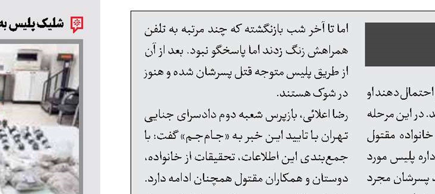 دردسر گروگان گرفتن 2 کلاهبردار 