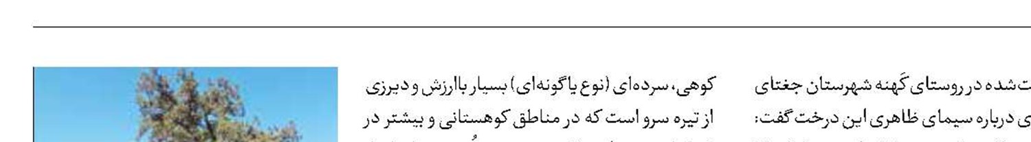 درخت اُرس ۹۰۰ ساله روستای کَهنه جغتای ثبت ملی شد