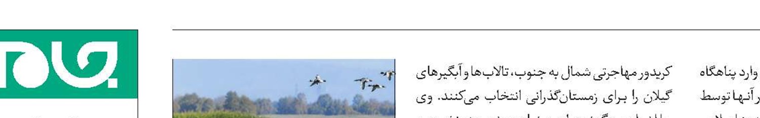 ورود نخستین گروه پرندگان مهاجر به پناهگاه آستارا