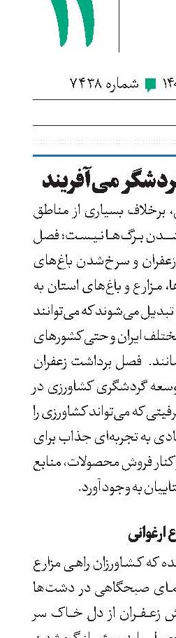 وقتی زعفران گردشگر می‌آفریند