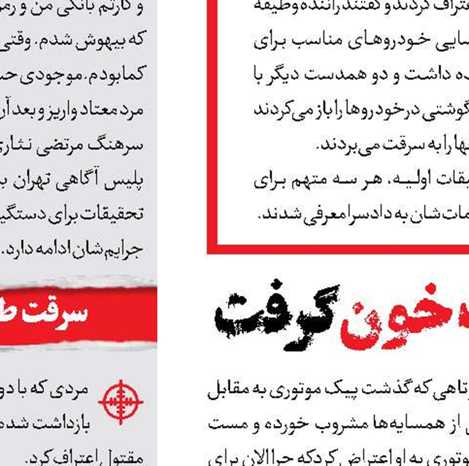 مرد غریبه‌‌‌؛ انگیزه قتل همسر 70 ساله