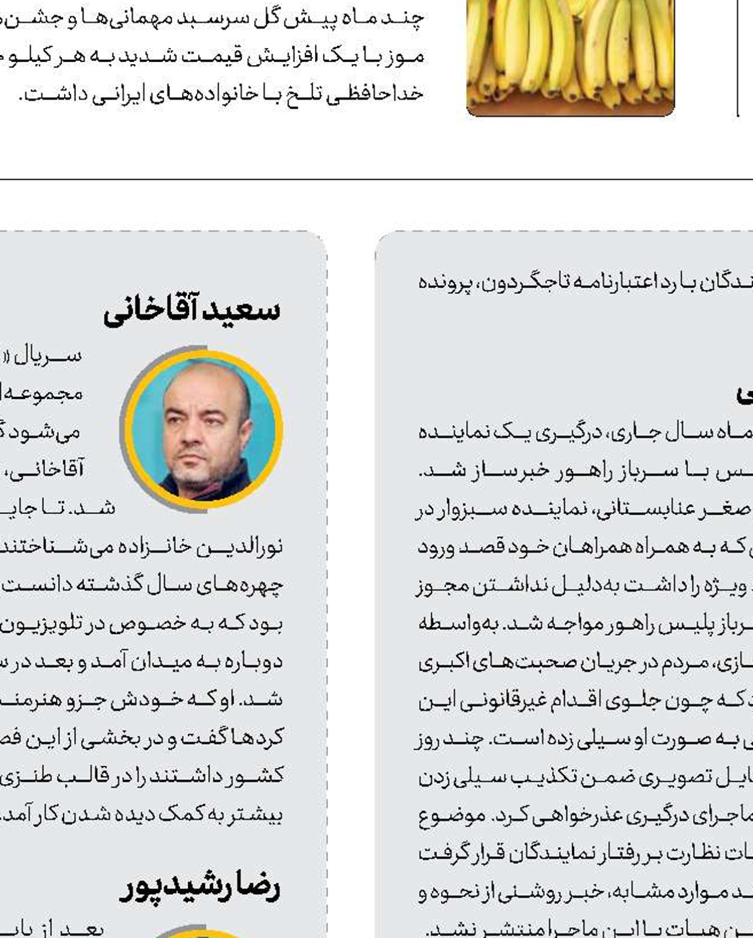 سیاسی